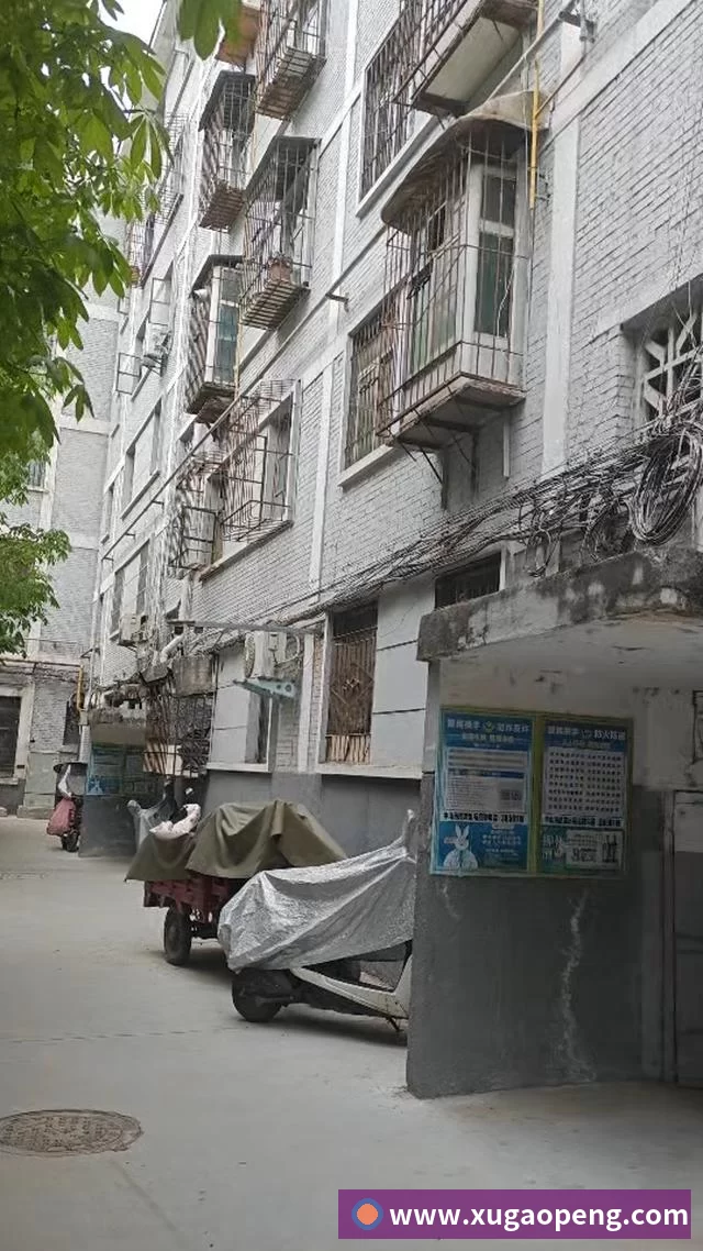 排球垫球